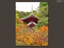 今熊野観音寺03 医聖堂と紅葉