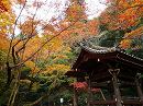 今熊野観音寺06 鐘楼と紅葉