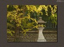今宮神社15 銀杏と石灯籠