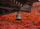 岡寺12 本堂の風鐸と紅葉