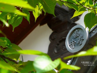 ���䎛01�y�_�E�����[�h����ꍇ�͉E�̉摜�T�C�Y���N���b�N���Ă��������z