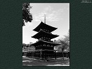 興福寺07 国宝三重塔