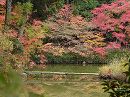 浄瑠璃寺07 紅葉の特別名勝庭園