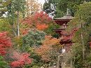 浄瑠璃寺09 紅葉と国宝三重塔
