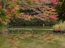 浄瑠璃寺19 紅葉の特別名勝庭園