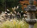 浄瑠璃寺20 浄瑠璃寺庭園と石灯籠