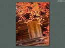 神護寺10 神護寺 紅葉と楼門の扁額