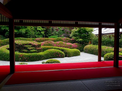 大池寺 07 京都の壁紙ドットコム