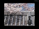 長楽寺08 鬼瓦と桜