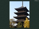 東寺10 国宝五重塔と銀杏