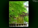 横蔵寺09 三重塔