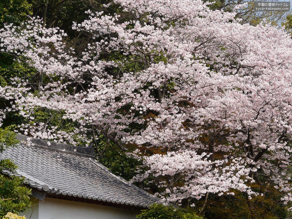 �����E��������ǎ�01�@�����̍�