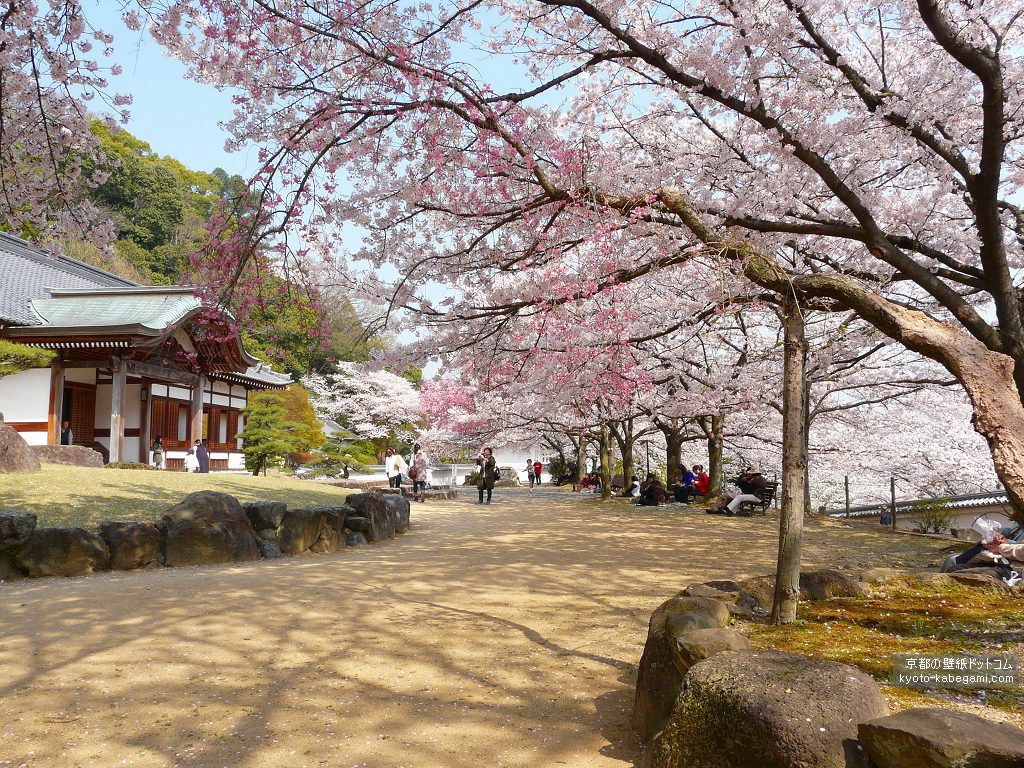 �����E��������ǎ�04�@�{�ی�a�ƍ�