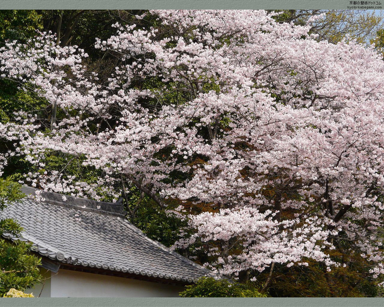 �����E��������ǎ�01�@�����̍�