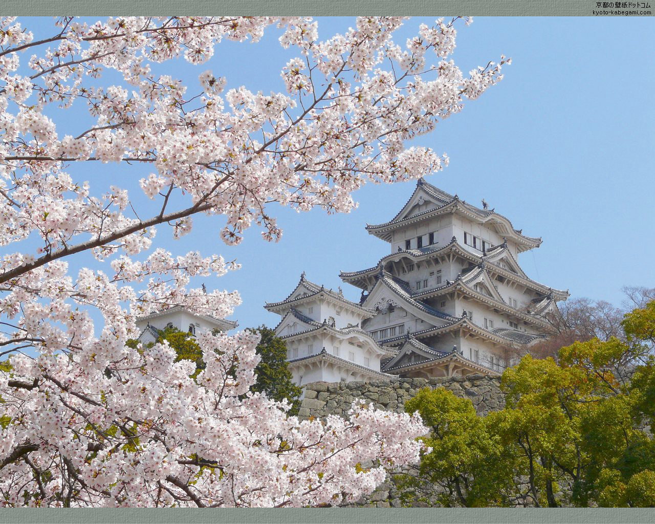 �P�H��ǎ�14�@�P�H��@�O���x���